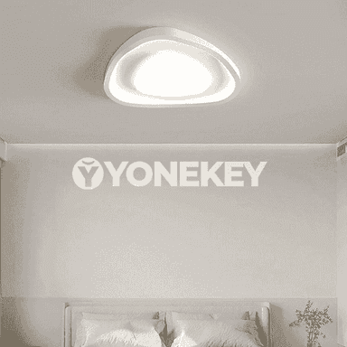 Öý üçin niýetlenen potolok led çyralar 