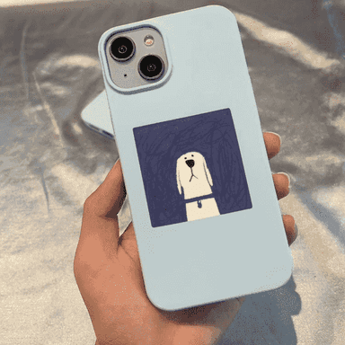 iPhone modelli telefonlar üçin niýetlenen çehol.