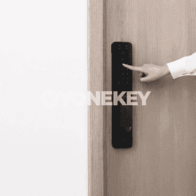 Xiaomi doly awtomatiki pro akylly gapy gulpy.