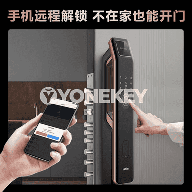 Haier akylly gapy gulpy