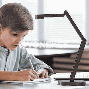 Online kompýuter kamerasy 