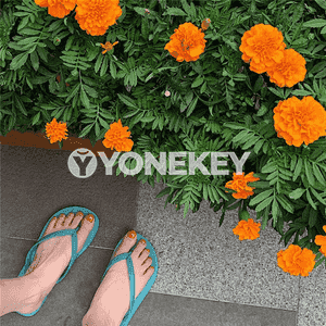 Zenanlar üçin slansy şypbyklar