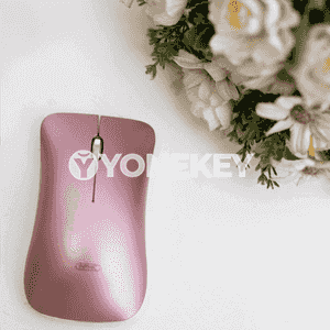 Kompýuter üçin Bluetooth syçanjyk.