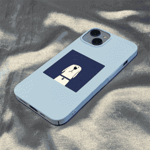 iPhone modelli telefonlar üçin niýetlenen çehol.