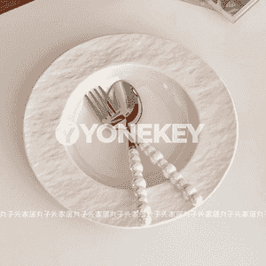 Aşhanada ulanmak üçin  tarelka 