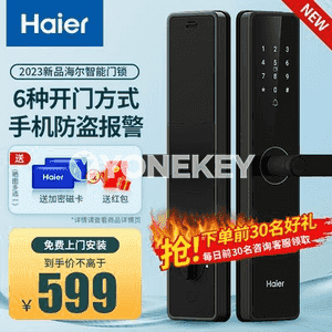 Haier akylly gapy gulpy 