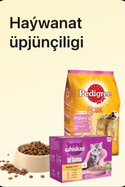 Haýwanat üpjünçiligi