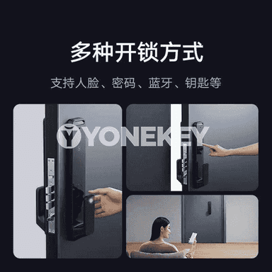Xiaomi akylly gapy gulpy.