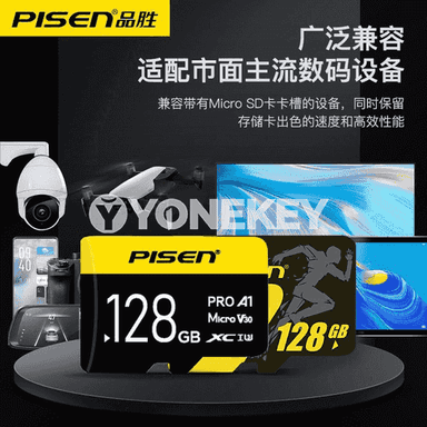 Pinsheng SD ýat kartasy.