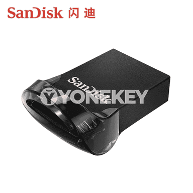 SanDisk U disk.