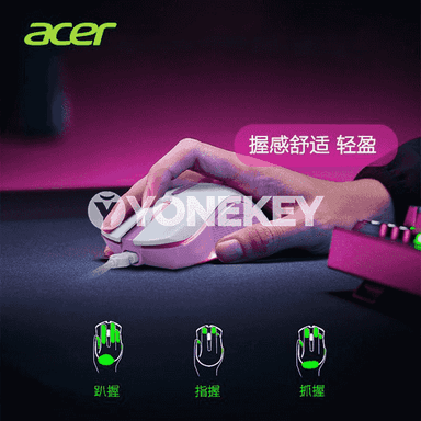 “Acer” simli syçanjyklar.
