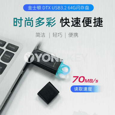 Kingston u disk