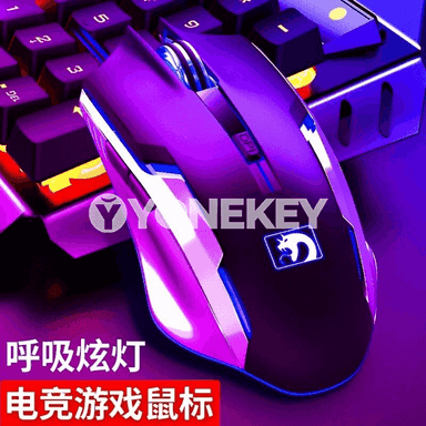 Kompýuterler üçin USB simli syçanjyk.