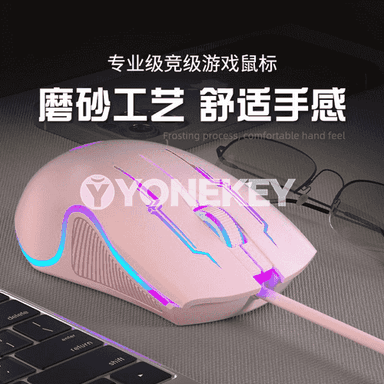Kompýuterler üçin USB simli syçanjyk.