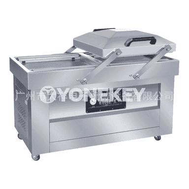 DZD-800-2SB goşa kameraly çukur vakuum gaplaýyş maşynlary