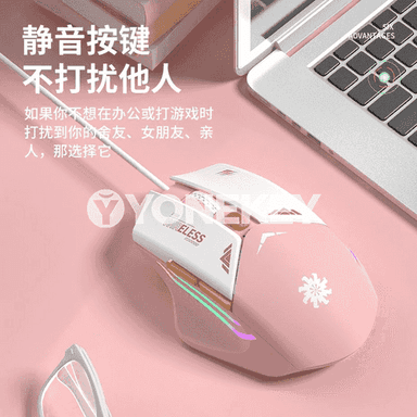 Kompýuterler üçin USB simli syçanjyk.