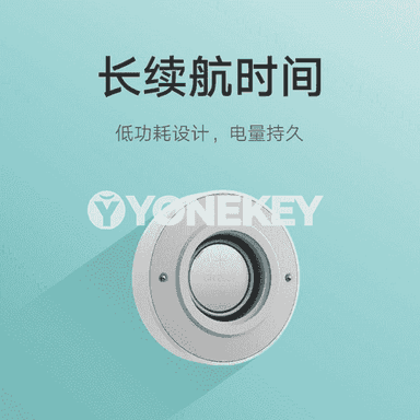 Xiaomi akylly gapy jaňy