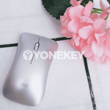 Kompýuter üçin Bluetooth syçanjyk.
