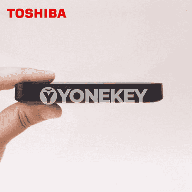 Toshiba ykjam gaty disk