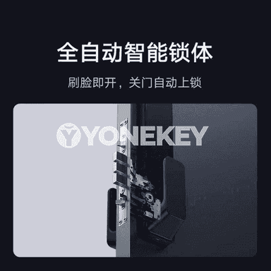 Xiaomi akylly gapy gulpy.