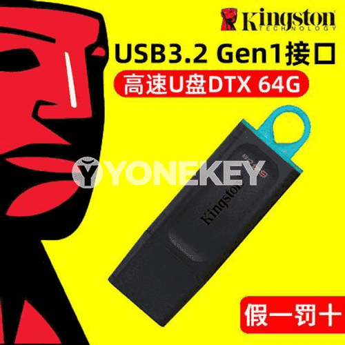 Kingston U Disk.