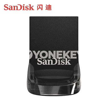 SanDisk U disk.
