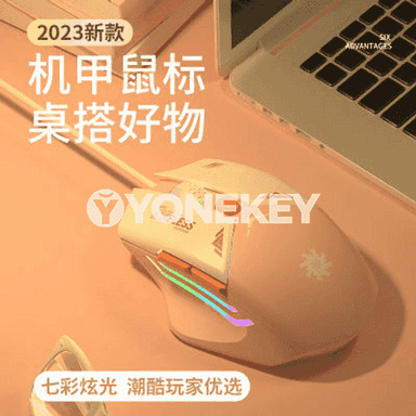 Kompýuterler üçin USB simli syçanjyk.