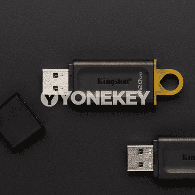 Kingston U Disk.
