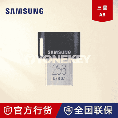 Samsung FitPlus mini U disk.