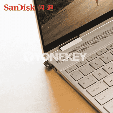 SanDisk U disk.