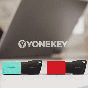 Kingston U diski.