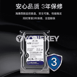 Hikvision Western Digital gaty disk