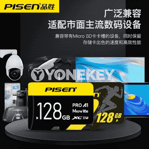 Pinsheng SD ýat kartasy.