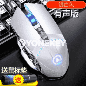 Kompýuterler üçin USB simli syçanjyk.