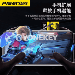 Pinsheng SD ýat kartasy.