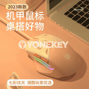Kompýuterler üçin USB simli syçanjyk.