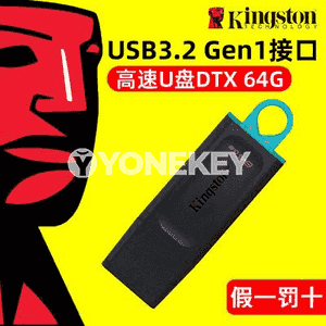 Kingston U Disk.