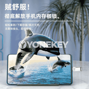 USB fleşka.