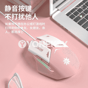 Kompýuterler üçin USB simli syçanjyk.