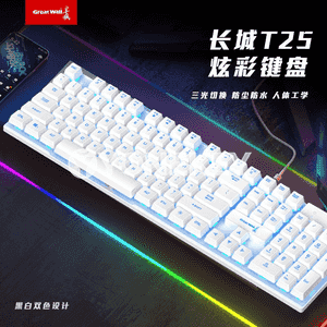 “Great Wall T25” simli klawiatura we syçanjygy.