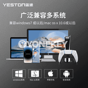 “Yeston SSD” ykjam gaty diski