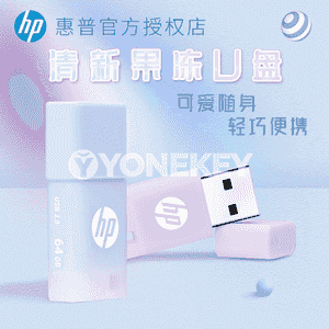 Universal HP USB fleşka.