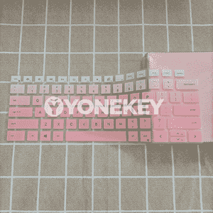 Dell Notebooklar üçin niýetlenen gorag örtügi.