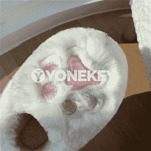 Gyzlar üçin niýetlenen gyş öý aýakgaplar.
