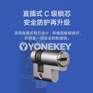 Xiaomi akylly gapy gulpy.