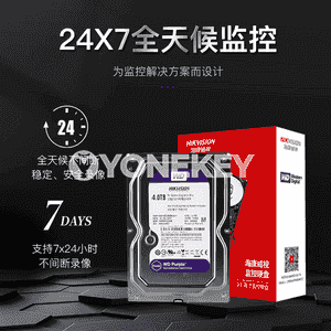 Hikvision Western Digital gaty disk