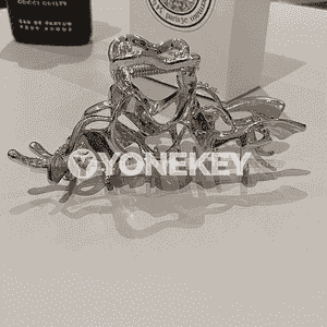 Gyzlar üçin metal saç gysgyç