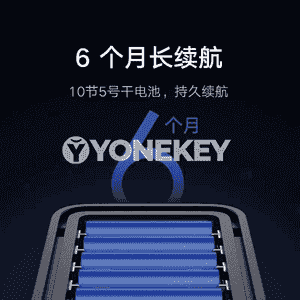 Xiaomi akylly gapy gulpy.