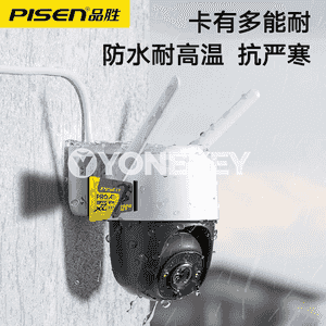 Pinsheng TF karty.