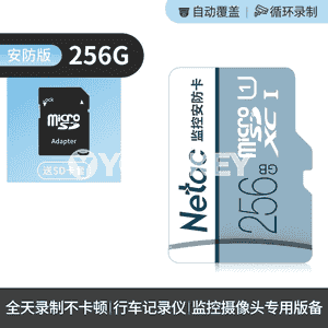 Netac SD kart.